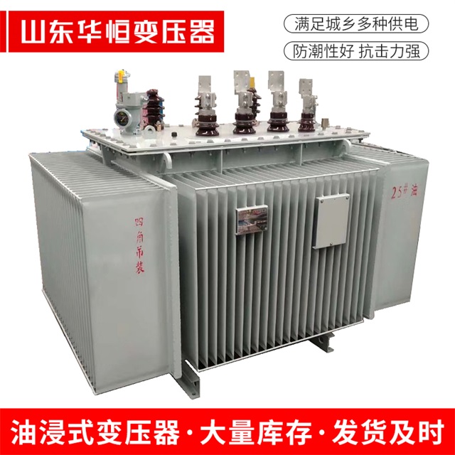 S13-10000/35萨迦萨迦萨迦电力变压器厂家