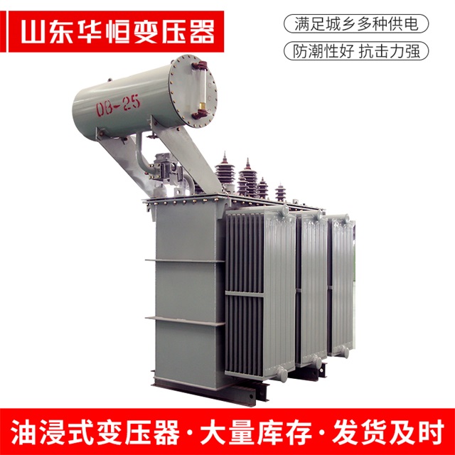 S11-10000/35萨迦萨迦萨迦电力变压器厂家