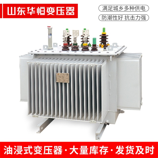 S13-10000/35萨迦萨迦萨迦电力变压器