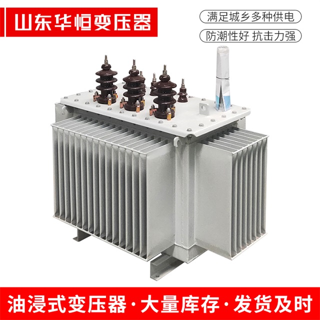 S11-10000/35萨迦萨迦萨迦电力变压器价格